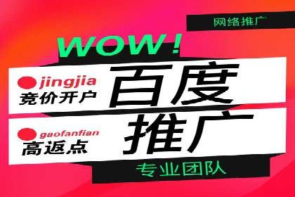 百度推广公司：如何通过精准投放提升品牌影响力
